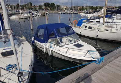 Campion Explorer 542